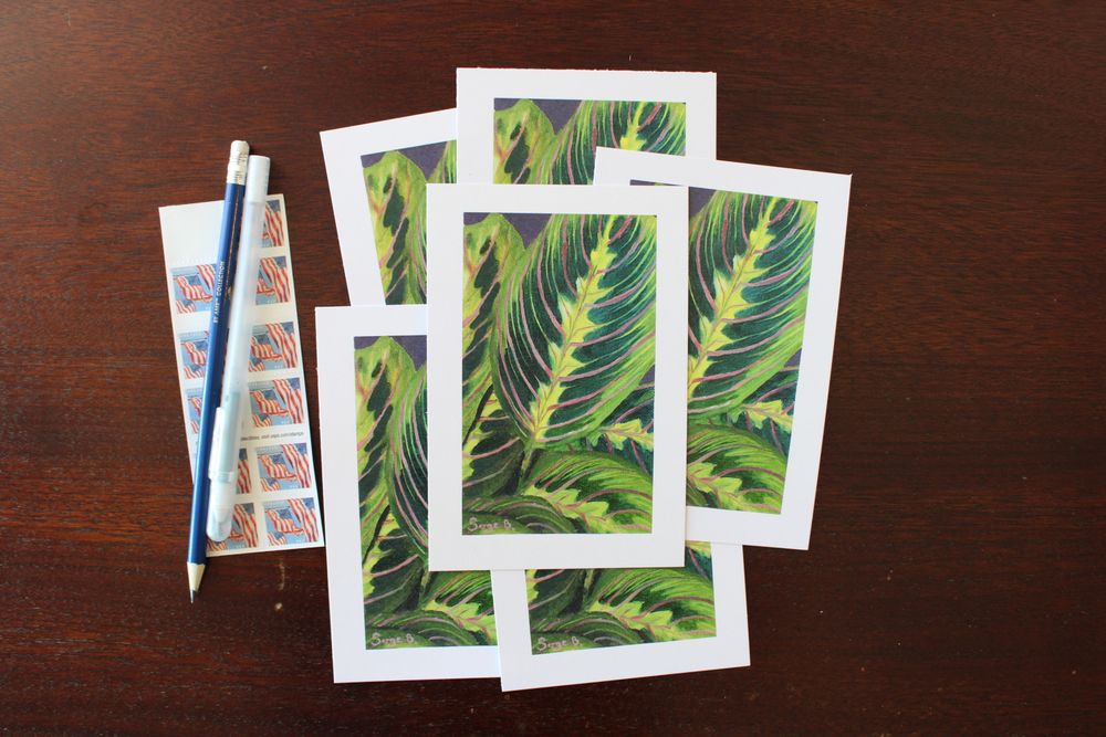 Prayer Plant Postcard Print
