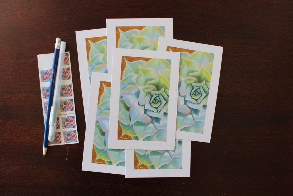 Rainbow Succulent Postcard Print 